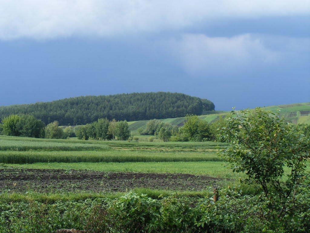 Малі Дедеркали з panoramio.com - Малые Дедеркалы