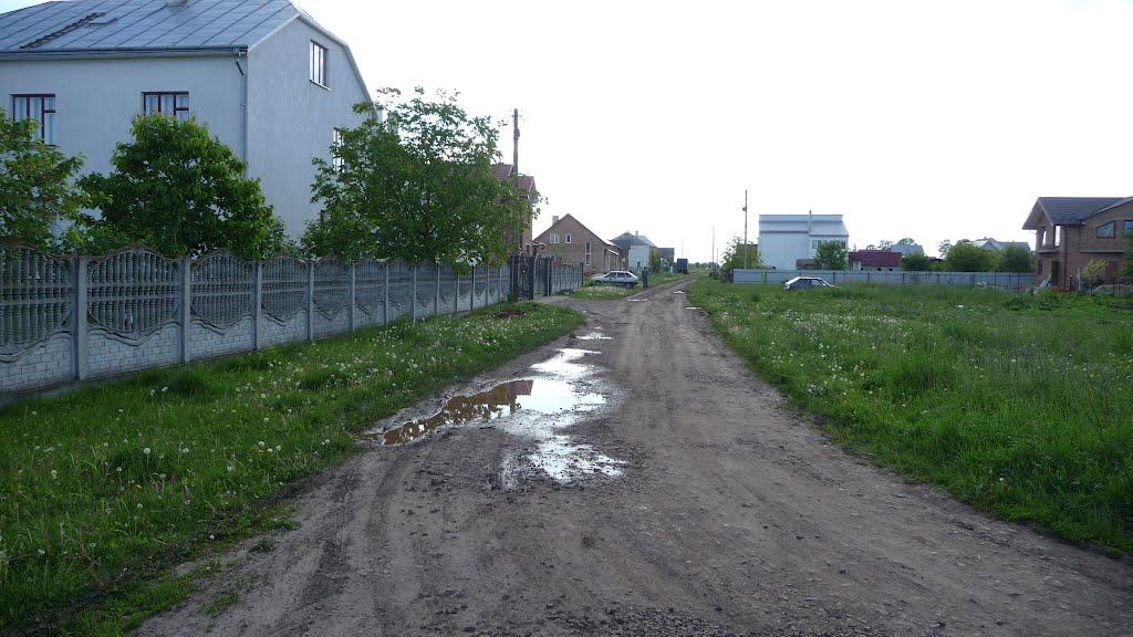 Буськ з panoramio.com - Буськ