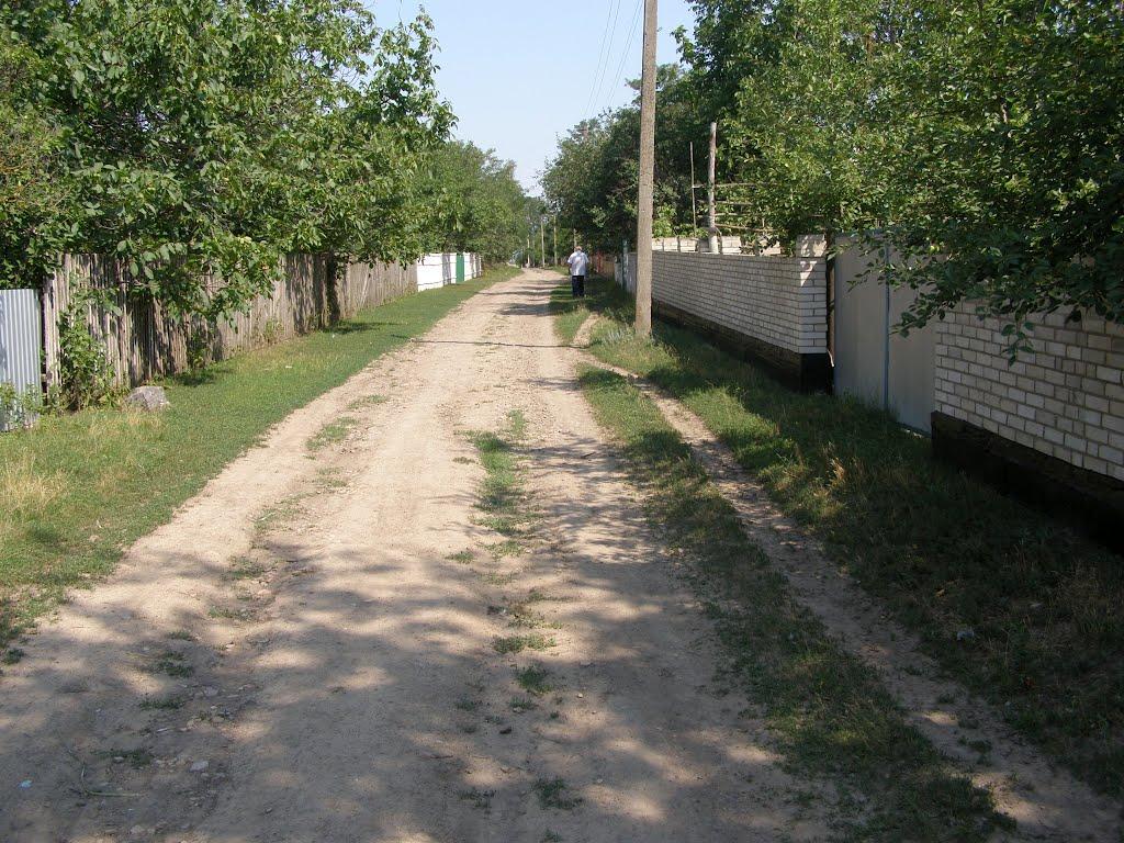 Велика Мочулка з panoramio.com - Велика Мочулка