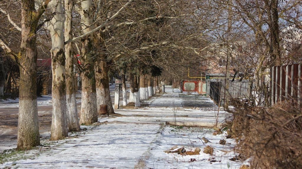 Роздольне з panoramio.com - Роздольне
