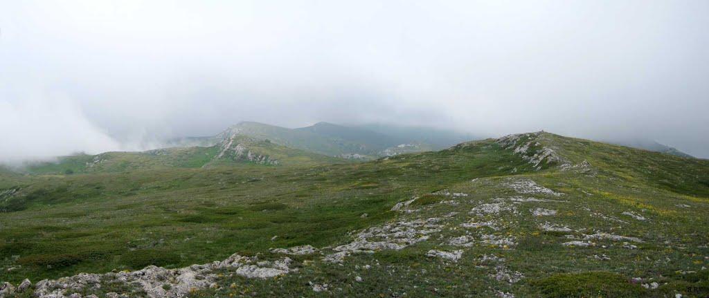 Розовий з panoramio.com (ч.2) - Розовый