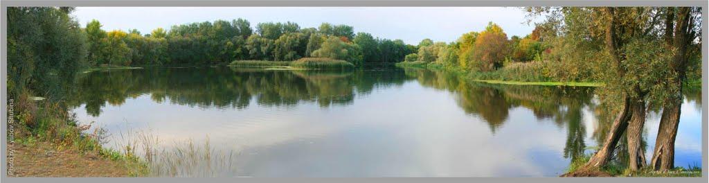 Черемушне з panoramio.com - Черемушное