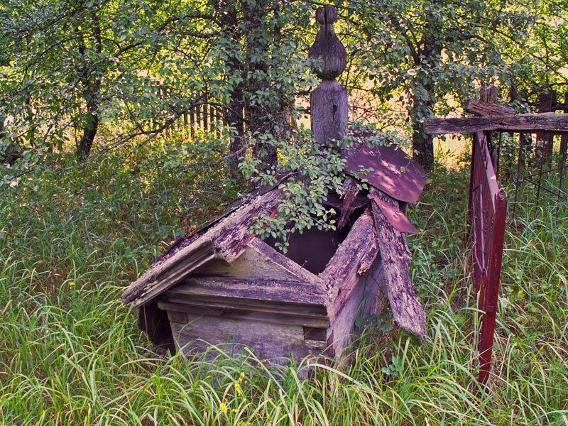 Черемошна з panoramio.com - Черемошна