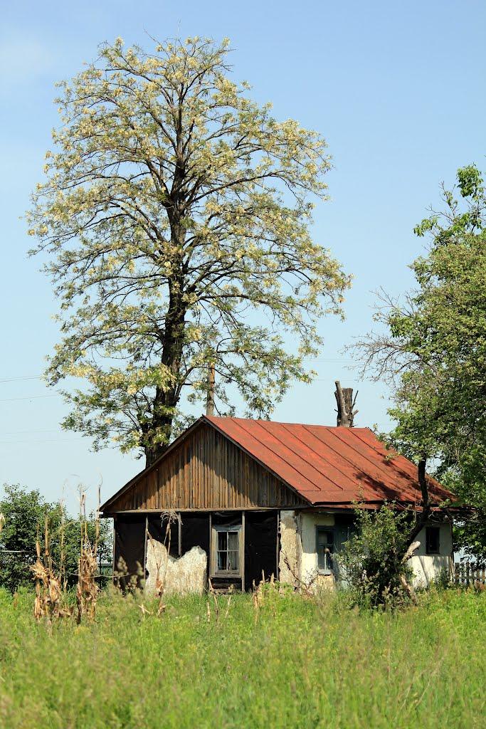 Мала Супоївка з panoramio.com - Мала Супоївка