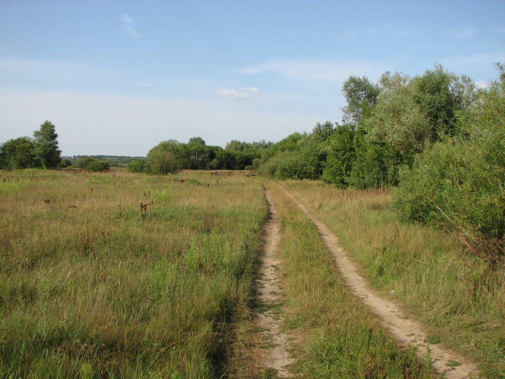 Пирогівка з panoramio.com - Пироговка