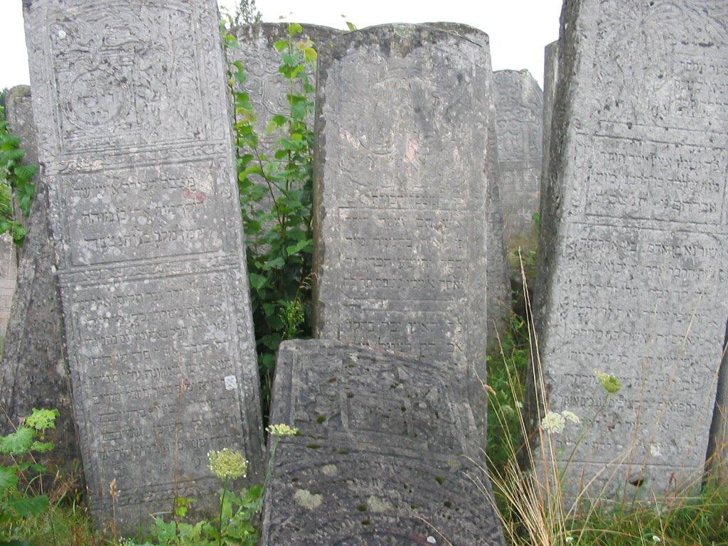 Броди з panoramio.com - Броди