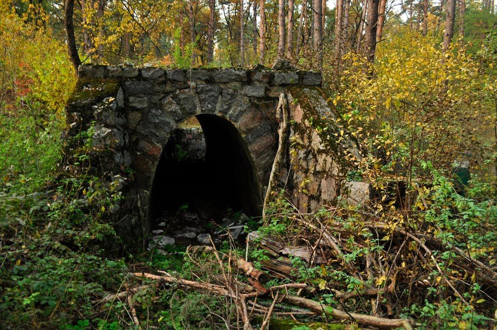 Лісники з panoramio.com - Лісники
