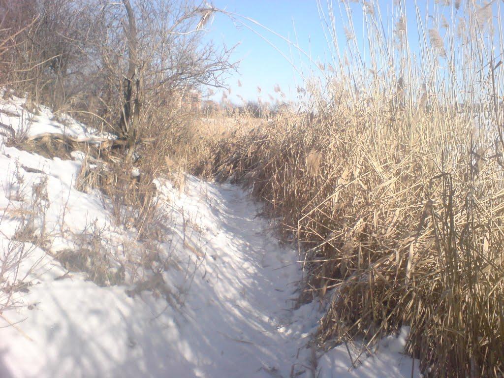 Софіївський з panoramio.com - Софіївський