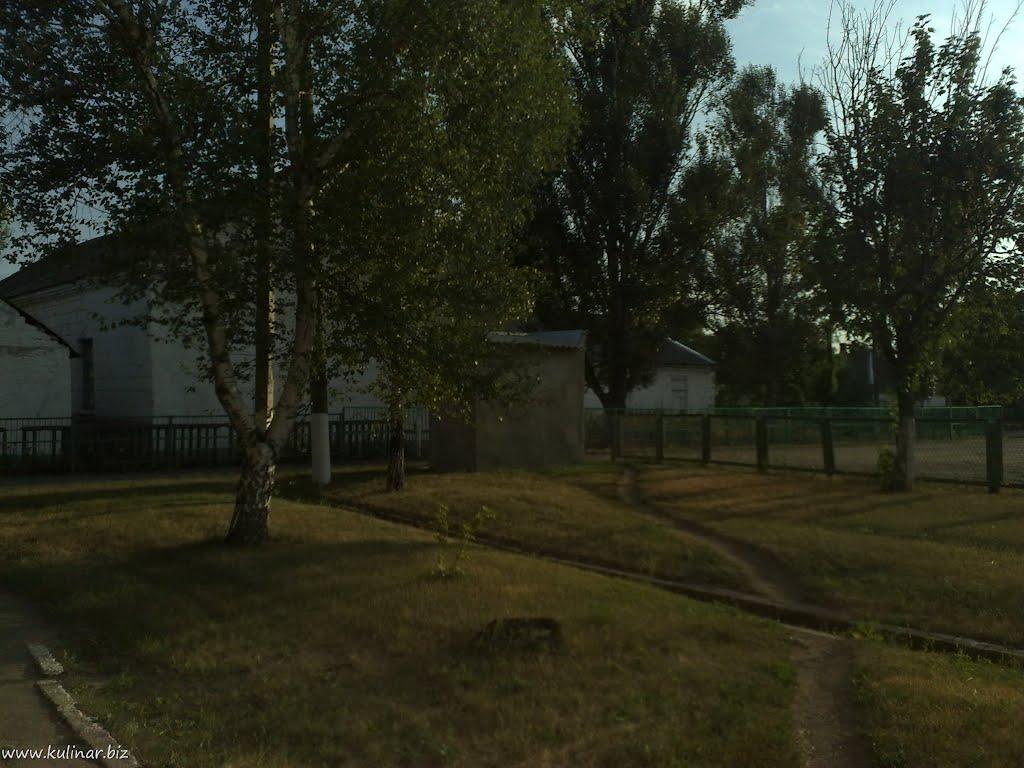 Токмак з panoramio.com - Токмак