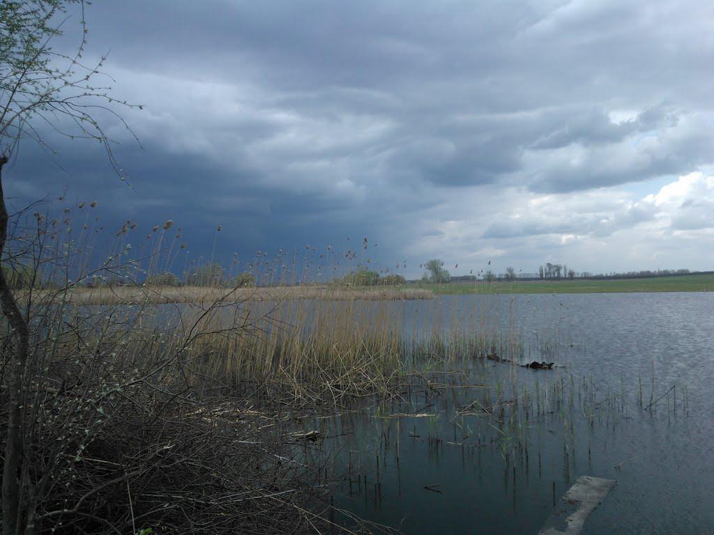 Весела Долина з panoramio.com - Весела Долина