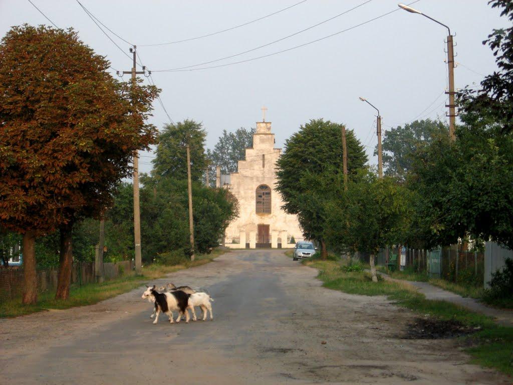 Маневичі з panoramio.com - Маневичи