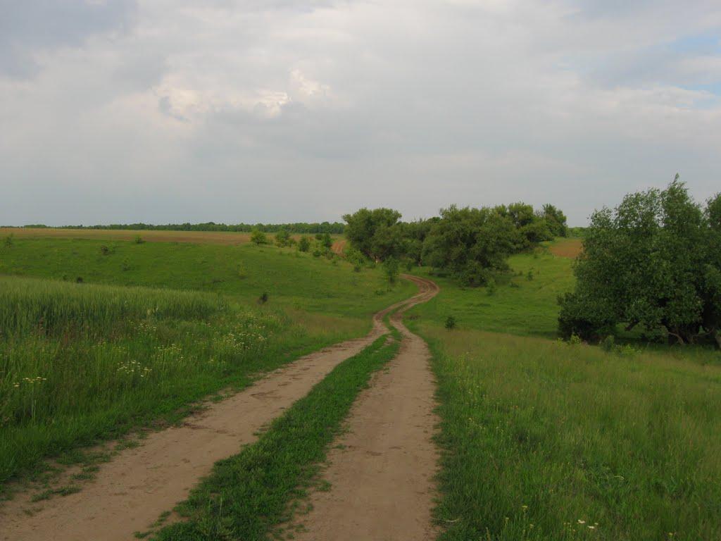 Губник з panoramio.com - Губник