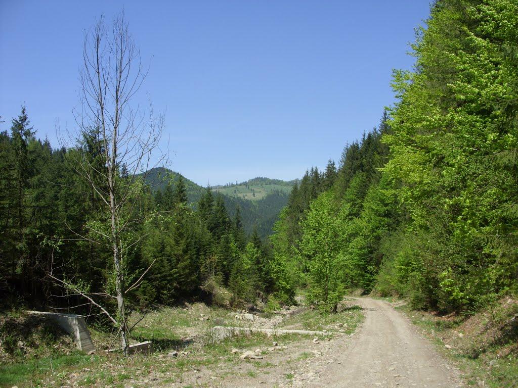 Фальків з panoramio.com (ч.2) - Фальков