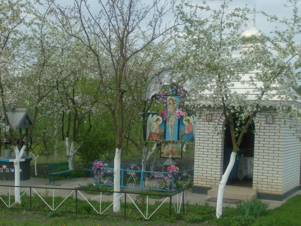 Рокитне з panoramio.com - Рокитне