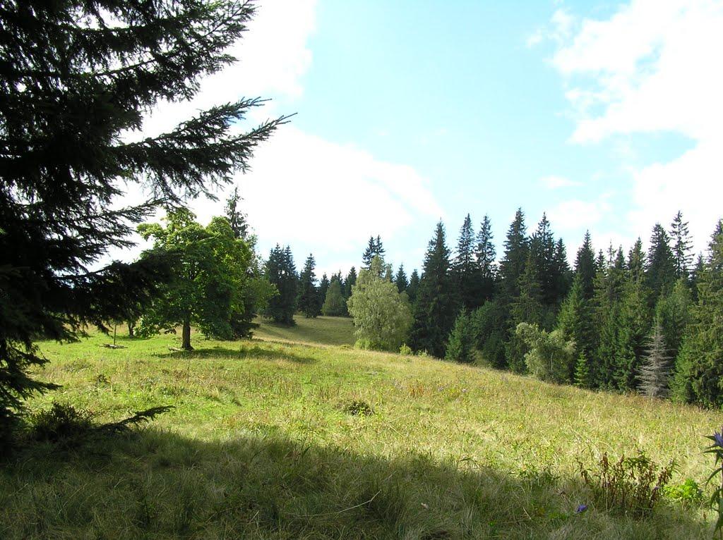 Сенечів з panoramio.com - Сенечів