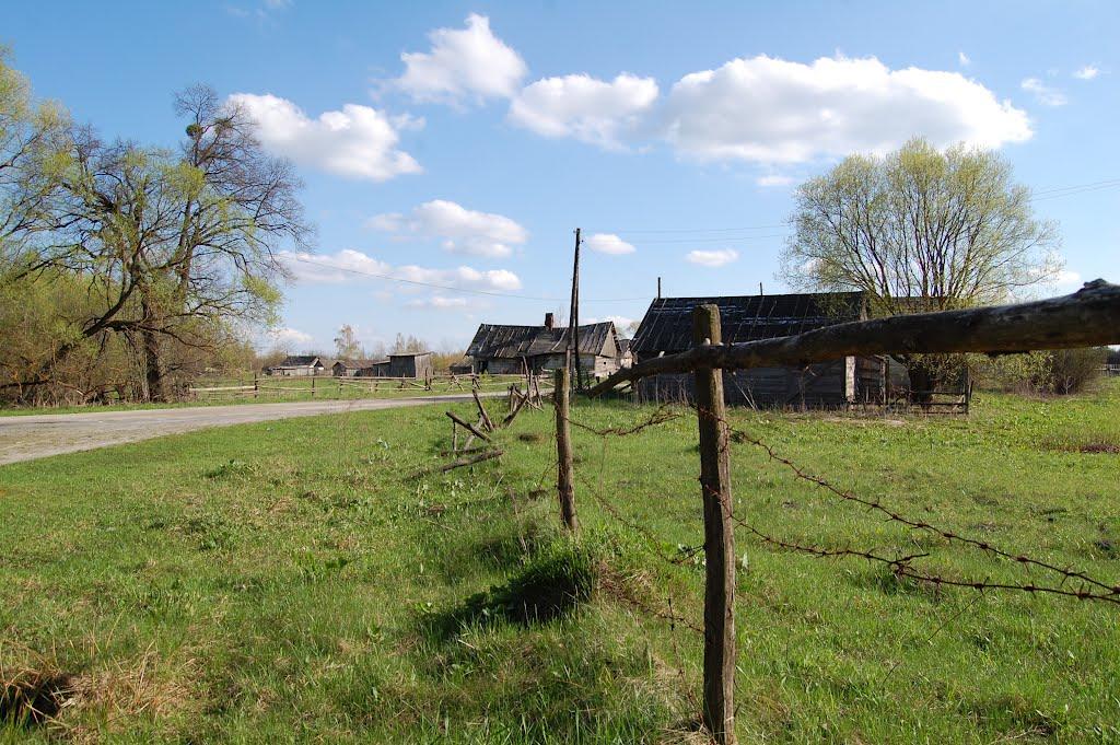 Рудня-Новенька з panoramio.com - Рудня-Новенькая