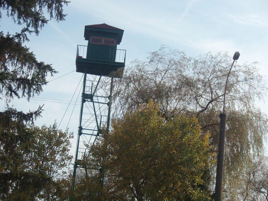 Астей з panoramio.com - Астей