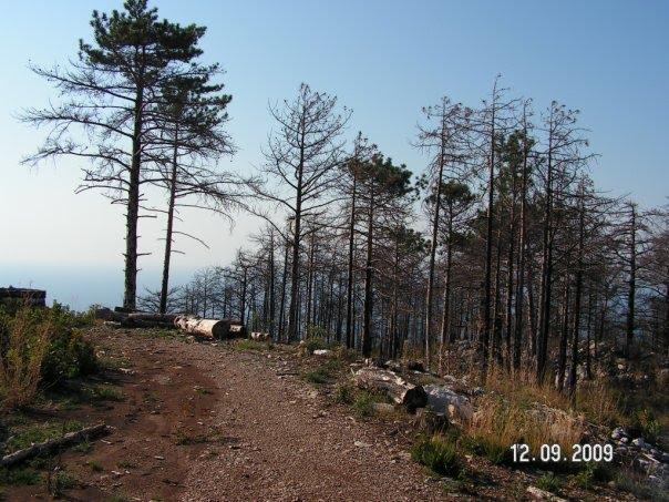 Голуба Затока з panoramio.com (ч.2) - Голубая Затока