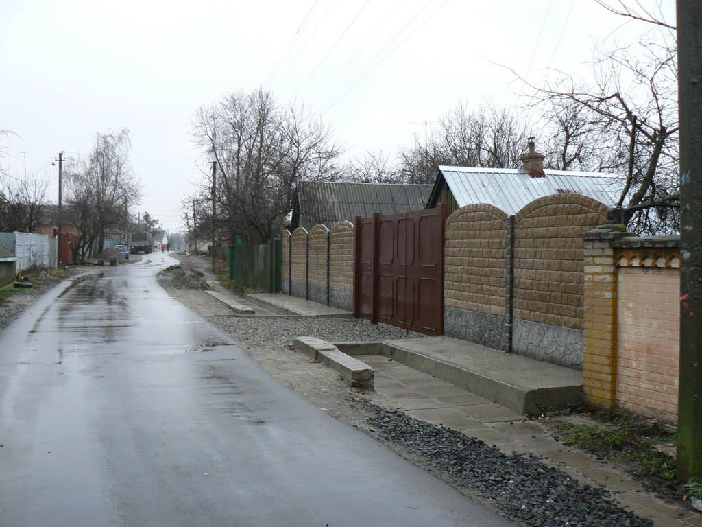 Безлюдівка з panoramio.com (ч.2) - Безлюдівка