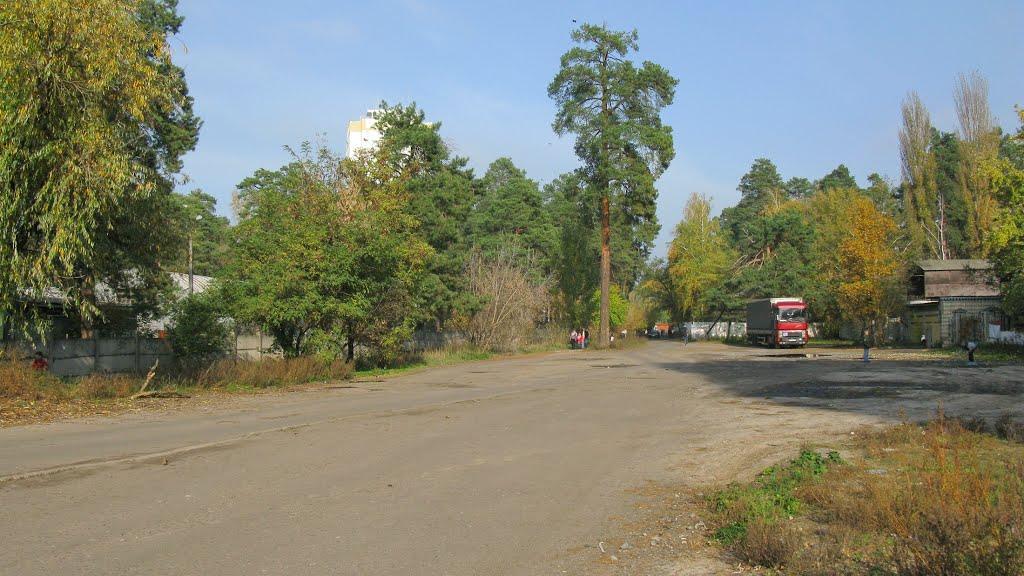 Гнідин з panoramio.com (ч.3) - Gnidyn