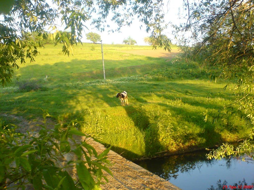 Гуменці з panoramio.com - Гуменці