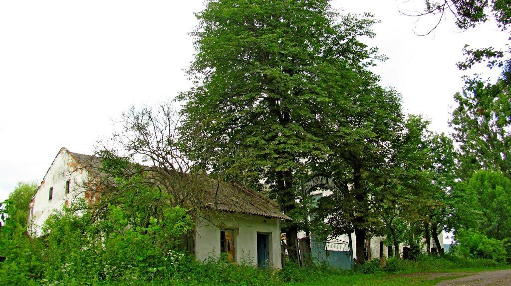 Пониква з panoramio.com - Пониква