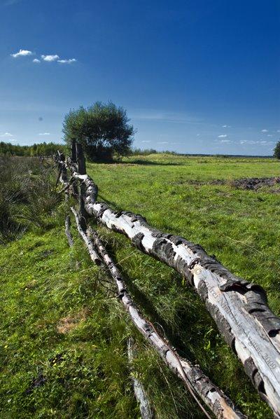 Річиця з panoramio.com - Річиця