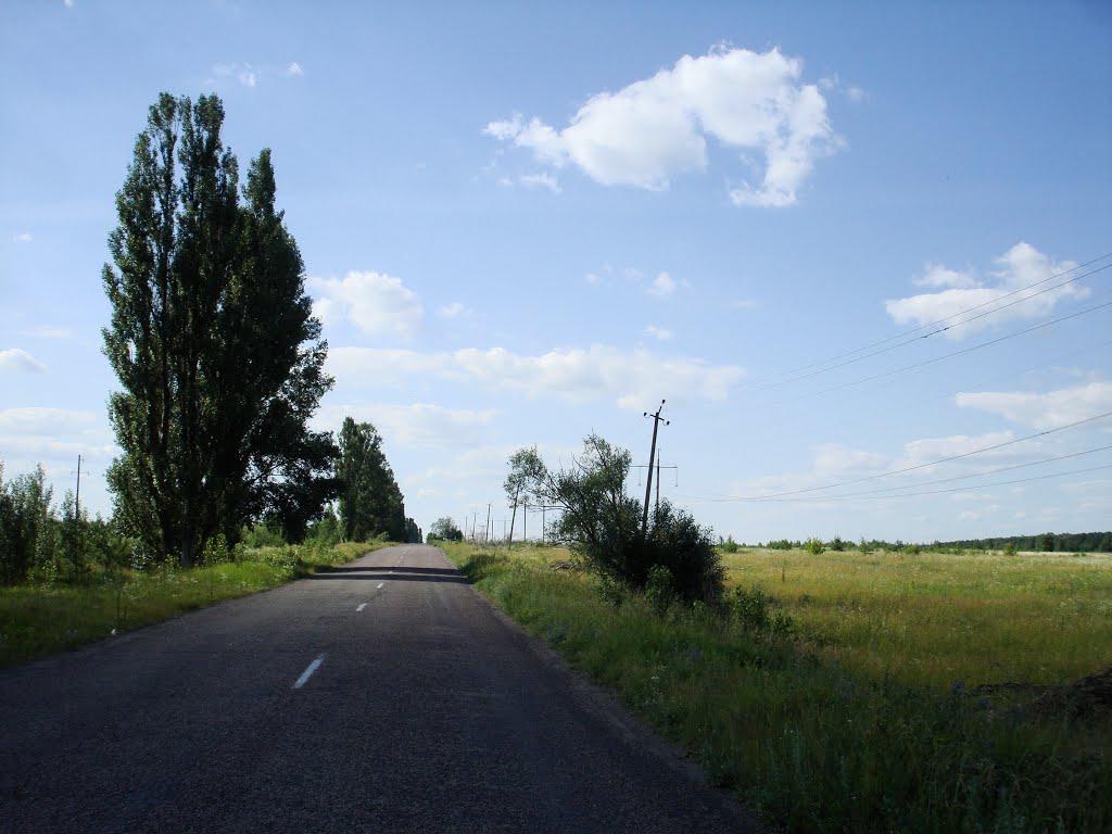 Василівка з panoramio.com - Василівка