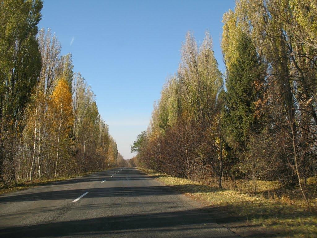 Петрашівка з panoramio.com - Петрашівка