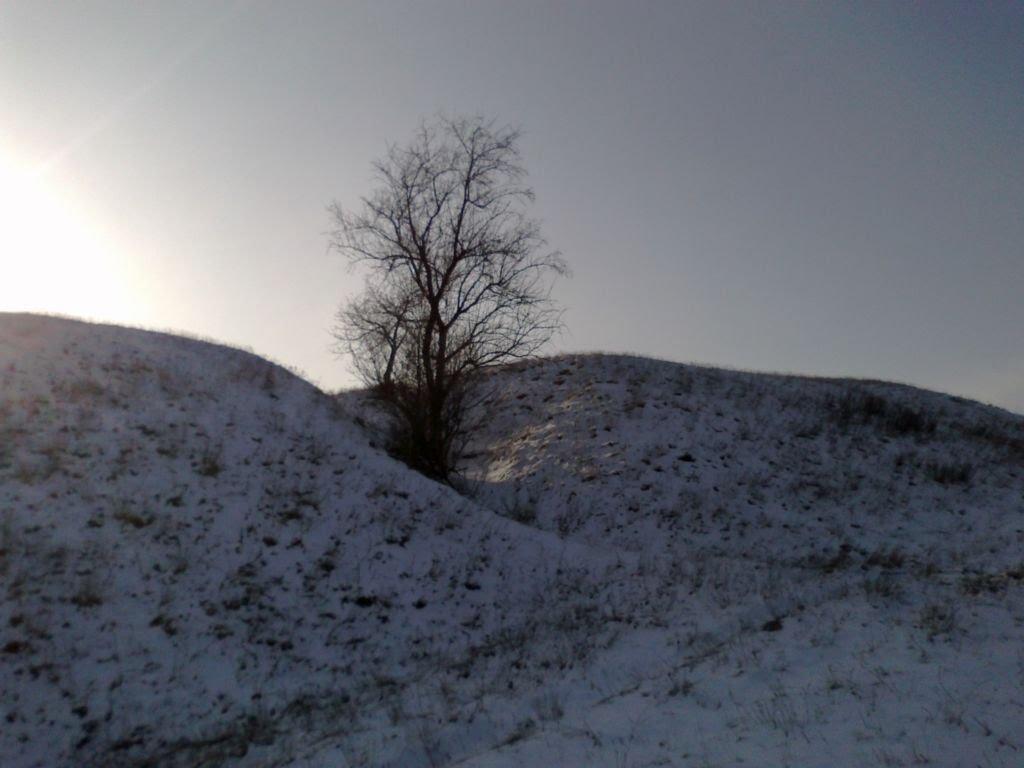 Зайцеве з panoramio.com - Зайцеве