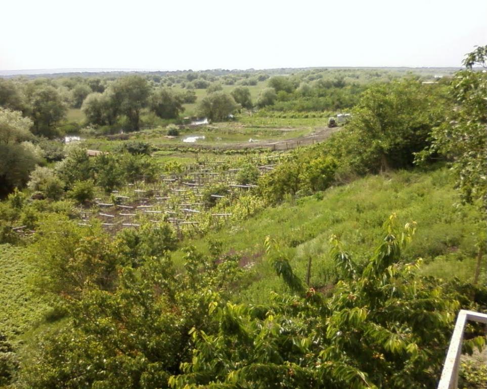 Троїцьке з panoramio.com - Троїцьке