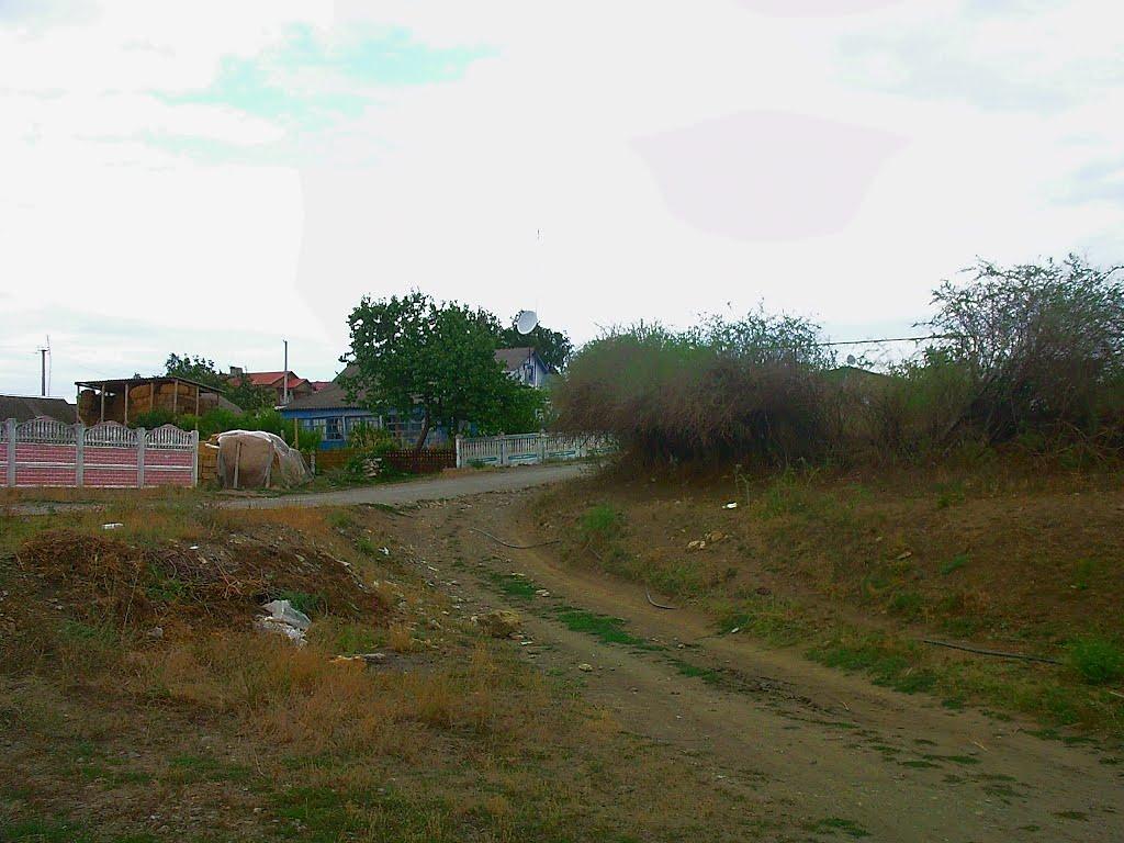 Шевченкове з panoramio.com - Шевченково