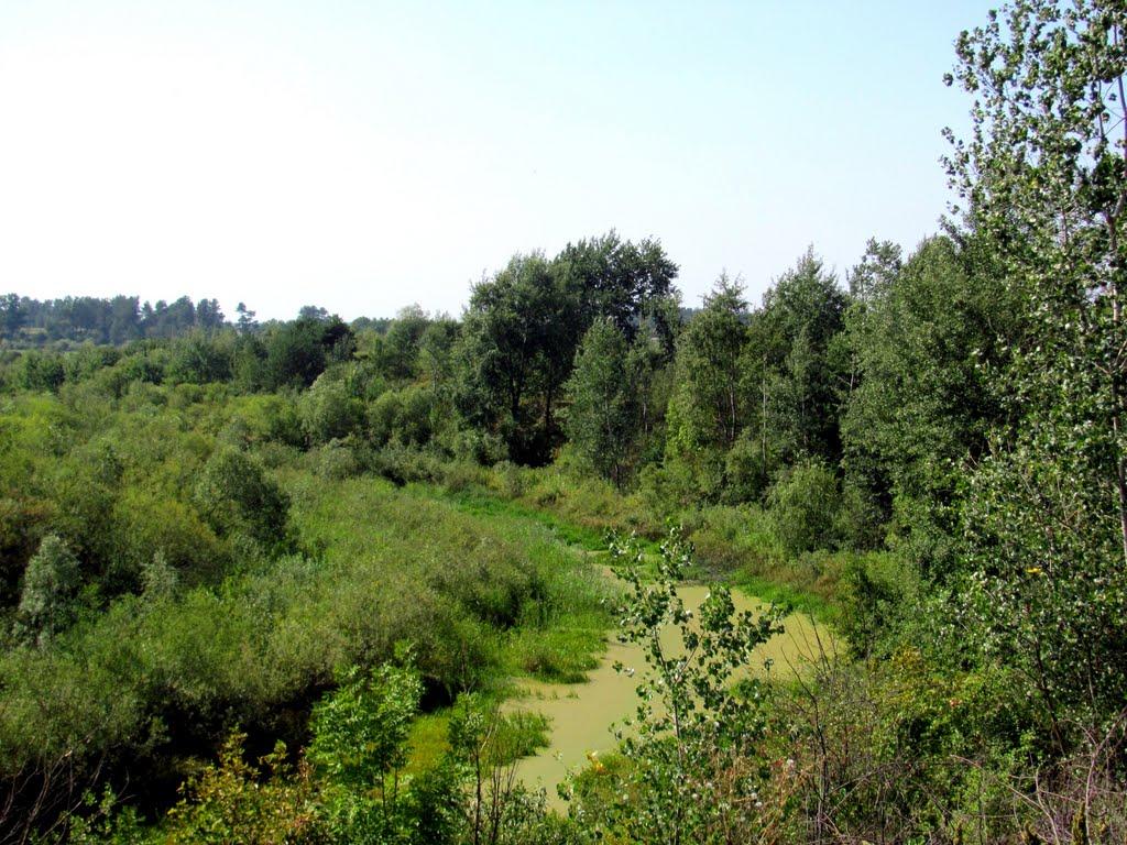 Нетреба з panoramio.com - Нетреба