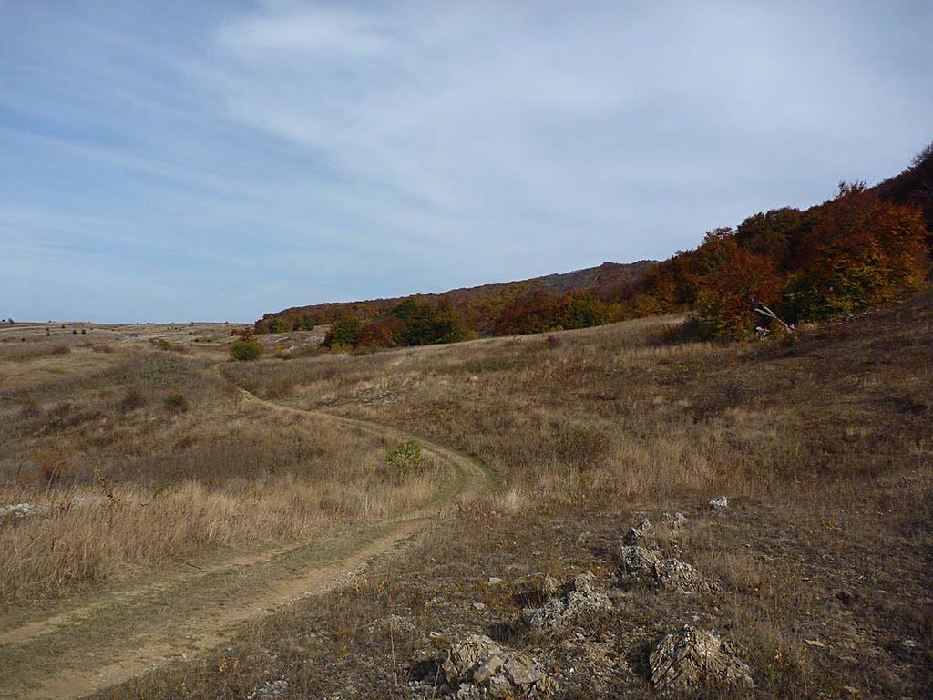 Генеральське з panoramio.com (ч.3) - Генеральське