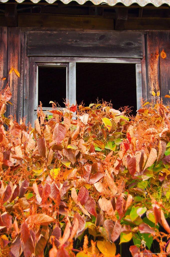 Селянщина з panoramio.com - Селянщина