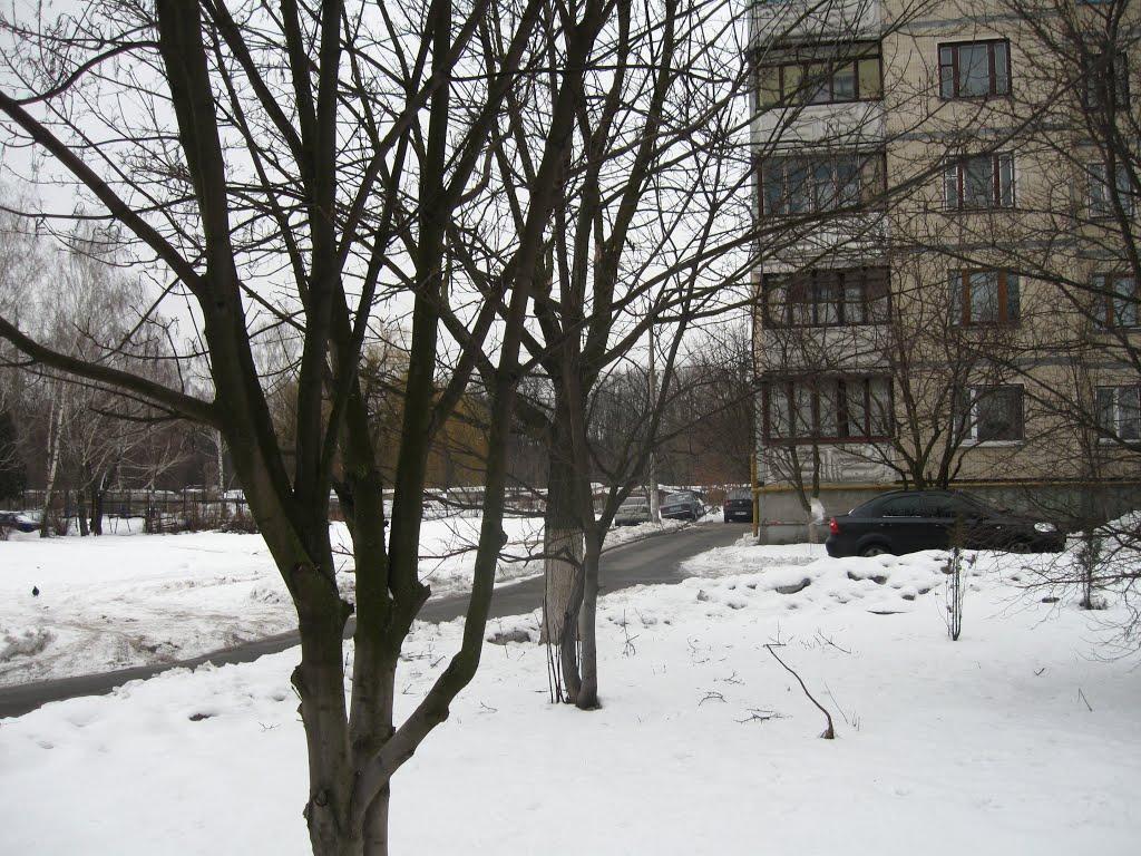 Софіївська Борщагівка з panoramio.com (ч.2) - Софиевская Борщаговка