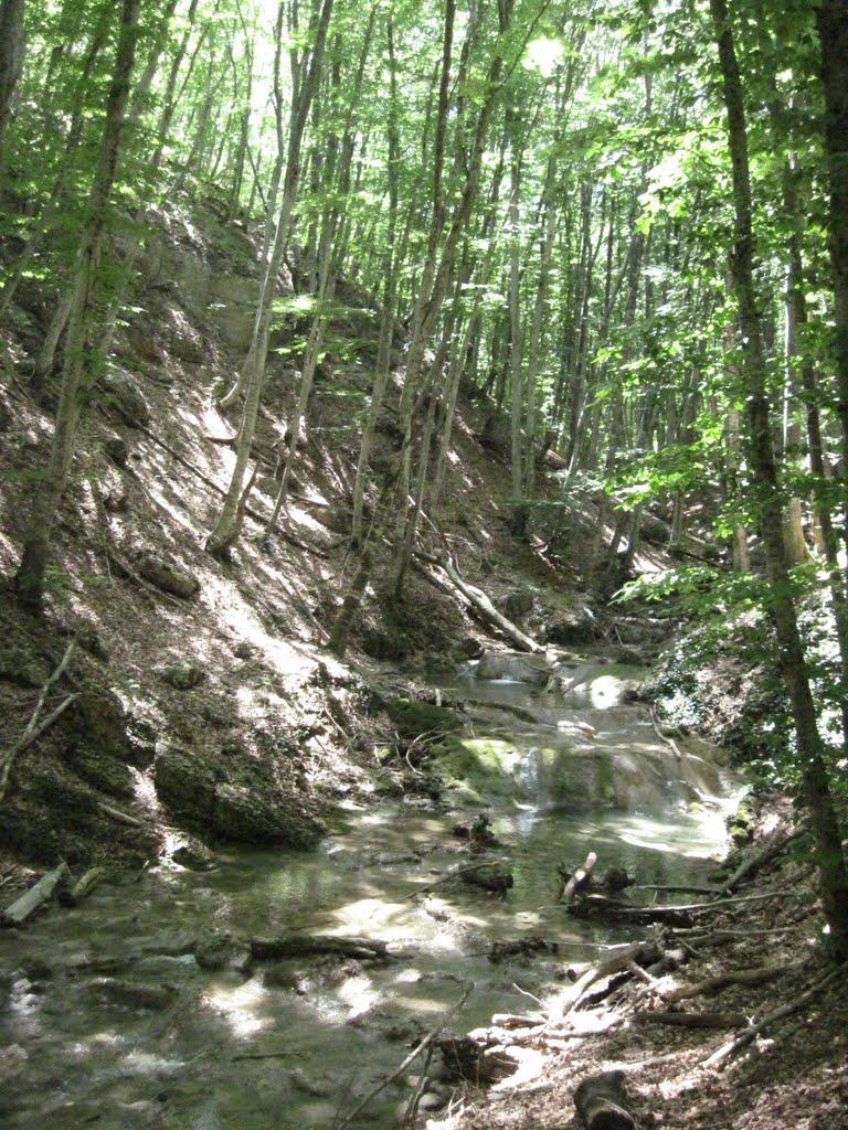 Соколине з panoramio.com (ч.2) - Соколиное