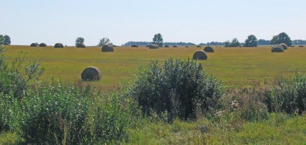 Липова Долина з panoramio.com - Липова Долина