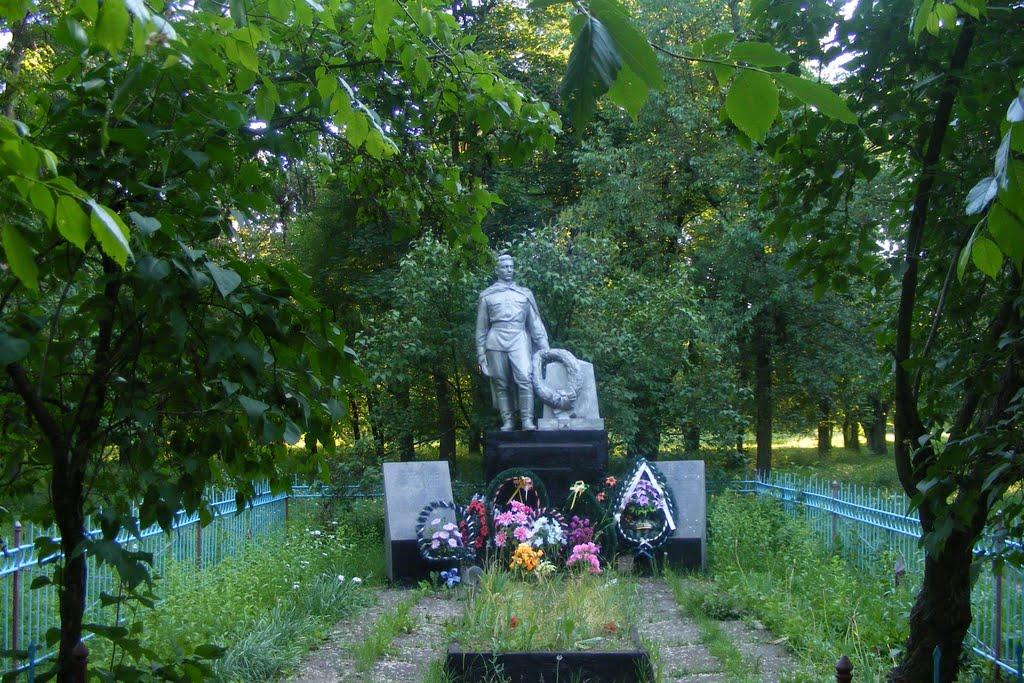 Ладижинка з panoramio.com - Ладижинка