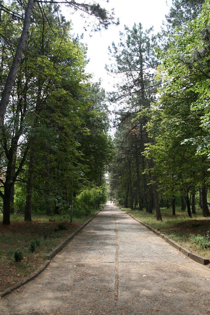 Научний з panoramio.com - Научний