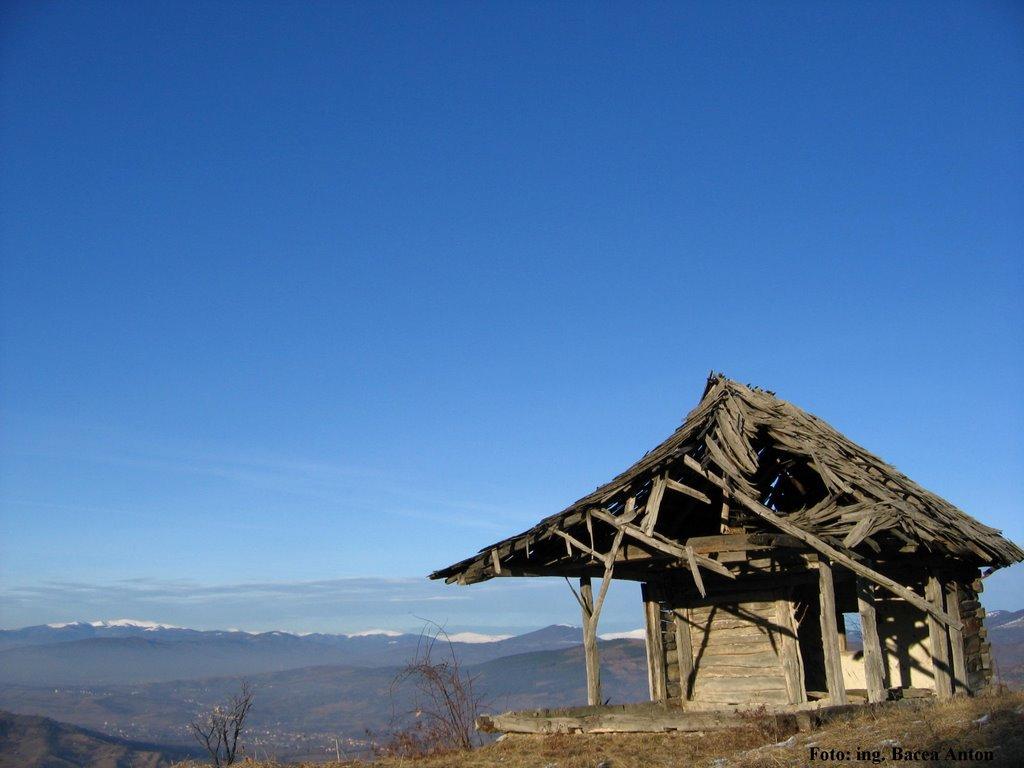 Великий Бичків з panoramio.com - Великий Бичків