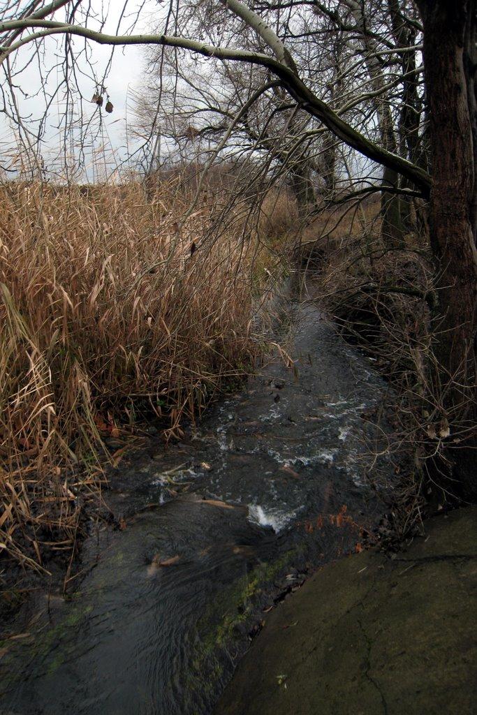 Петрівка з panoramio.com - Петрівка