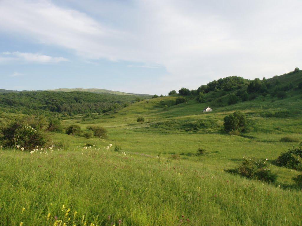 Чайковське з panoramio.com (ч.2) - Чайковське