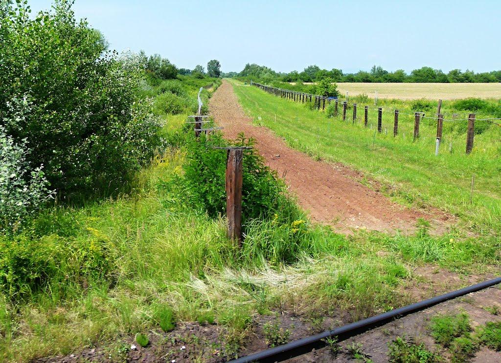 Соломоново з panoramio.com (ч.2) - Соломоново