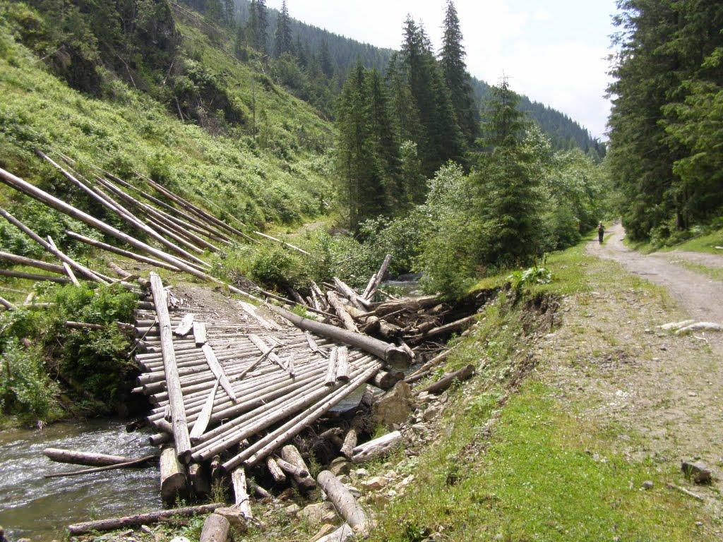 Сарата з panoramio.com - Сарата