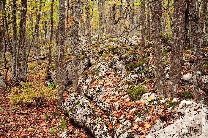 Соколине з panoramio.com (ч.2) - Соколиное