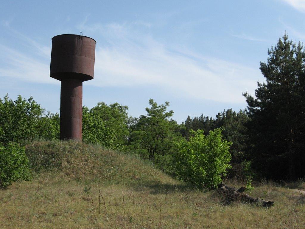 Розсошинці з panoramio.com - Rozsoshyntsi