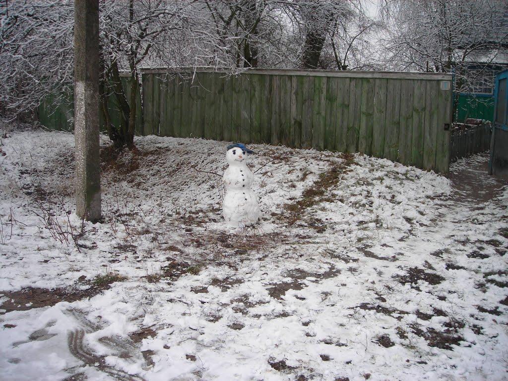 Вольниця з panoramio.com - Вольниця