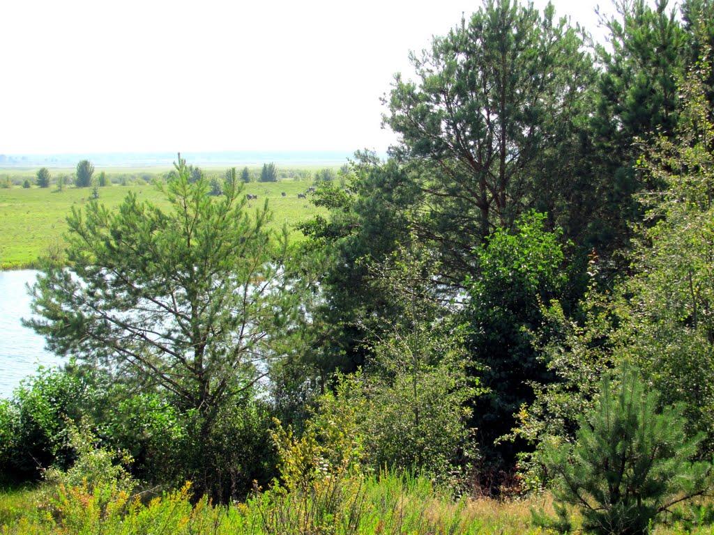 Чаква з panoramio.com - Чаква