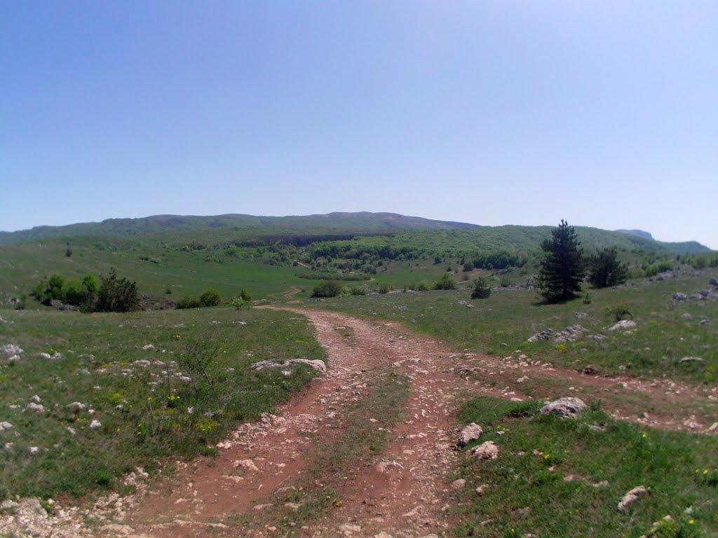 Чайковське з panoramio.com (ч.2) - Чайковське